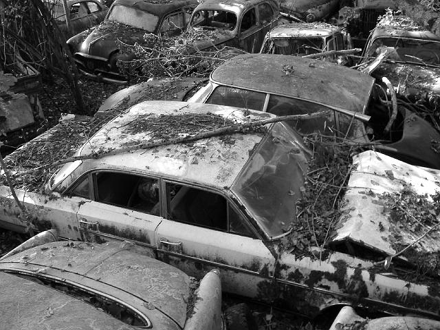 Autofriedhof - 128.JPG - Historischer Autofriedhof,    Gürbetal (CH)